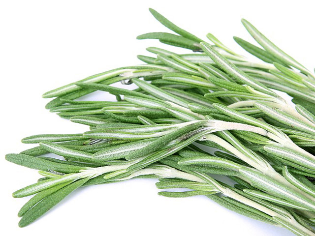 rosemary
