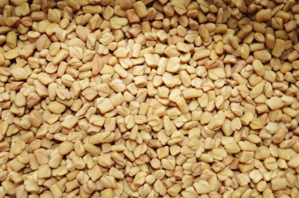 Fenugreek Essential Oil