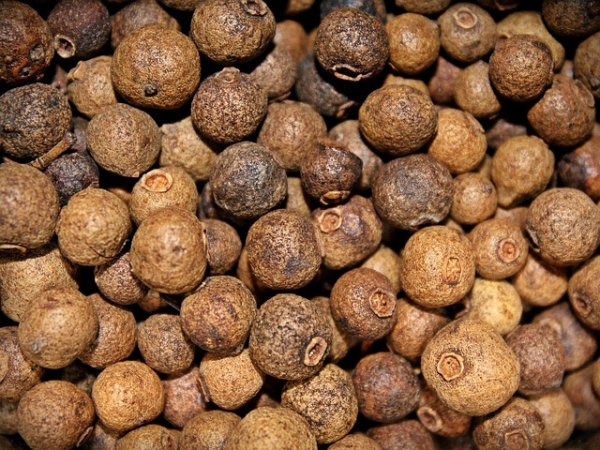 Allspice Essential Oil
