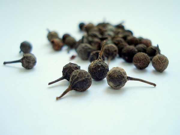 Cubeb Essential Oil