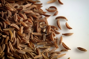 Caraway Essential Oil