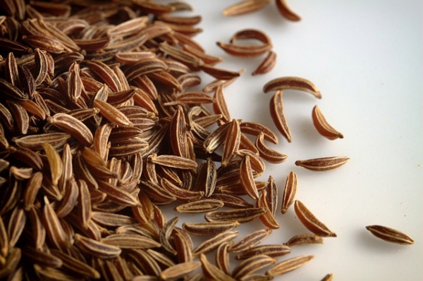 Caraway Essential Oil
