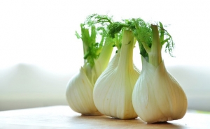 Fennel Essential Oil