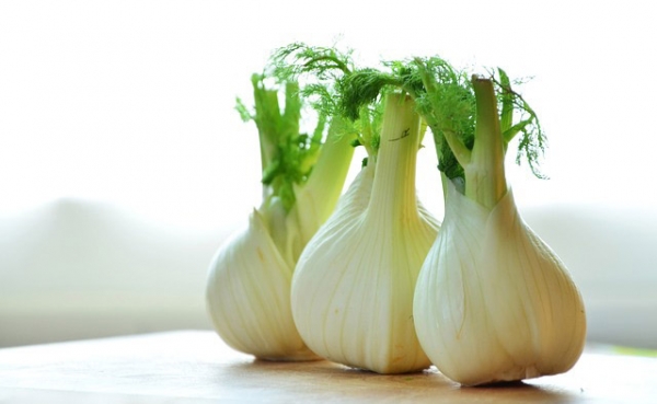 Fennel Essential Oil