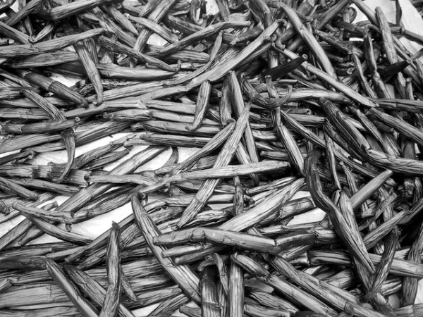 Vanilla Essential Oil