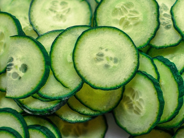 Cucumber Seed Essential Oil