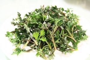 Wormwood Essential Oil