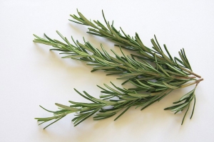 Rosemary Essential Oil