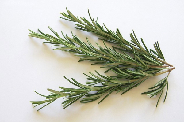 Rosemary Essential Oil